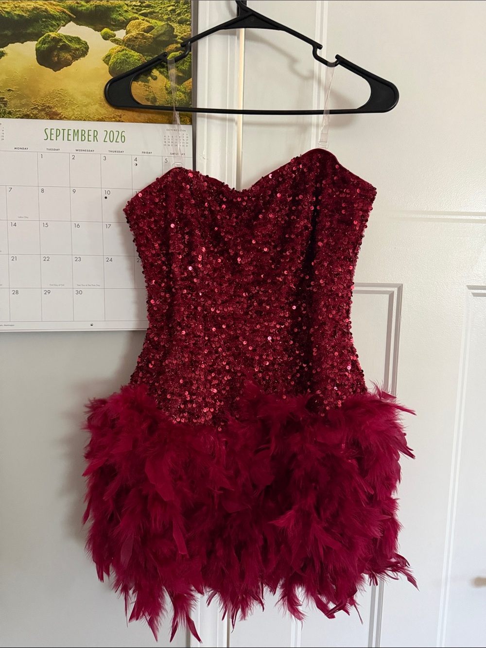 Fashion Nova Burgundy Sequin & Feather Mini Dress